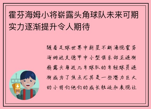 霍芬海姆小将崭露头角球队未来可期实力逐渐提升令人期待
