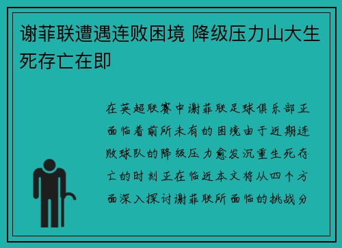 谢菲联遭遇连败困境 降级压力山大生死存亡在即 谢菲联遭遇连败困境 降级压力山大生死存亡在即