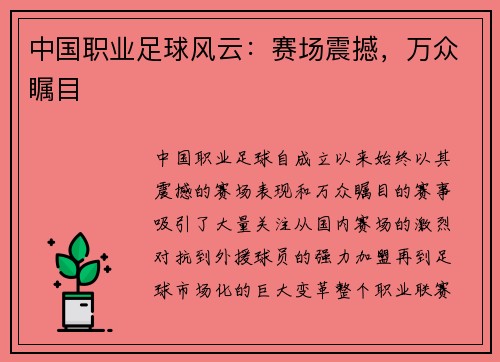 中国职业足球风云:赛场震撼,万众瞩目 中国职业足球风云:赛场震撼,万众瞩目